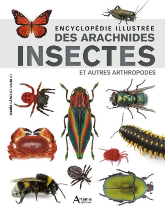martul-hernandez-carmen-encyclopedie-illustree-des-arachnides-insectes-et-autres-arthropodes_0