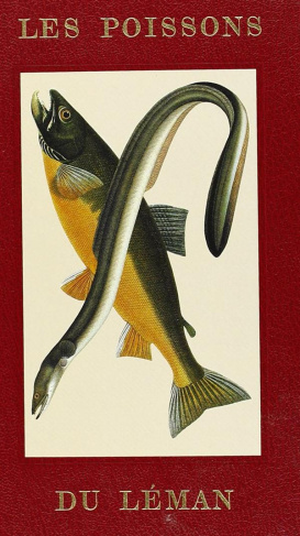 masson-daniel-poissons-du-leman-suivi-de-fiches-signaletiques-et-de-recettes-culinaires-des-especes-comestibles_0