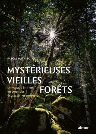 mathieu-pascal-mysterieuses-vieilles-forets-un-voyage-immersif-au-coeur-des-ecosystemes-preserves_0