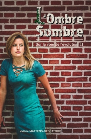 mattens-descatoire-valerie-l-ombre-sombre-sur-la-voie-de-l-evolution-ii_0