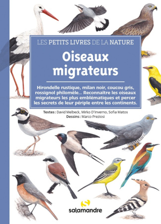 melbeck-david-d-inverno-mirko-matos-sofia-pr-oiseaux-migrateurs_0