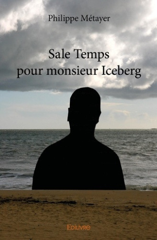 metayer-philippe-sale-temps-pour-monsieur-iceberg_0