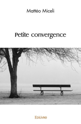 miceli-matteo-petite-convergence_0