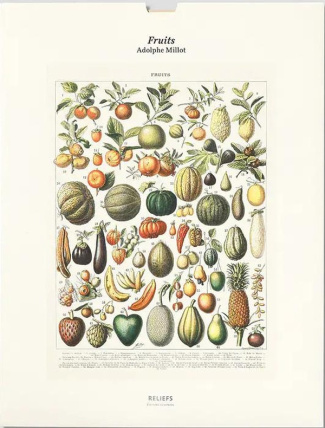 millot-adolphe-tirage-fruits_0