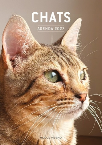 modus-vivendi-chats-agenda-2027_0