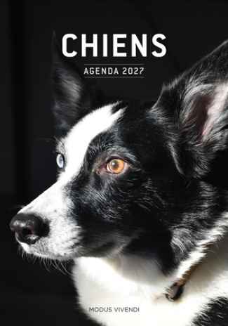 modus-vivendi-chiens-agenda-2027_0