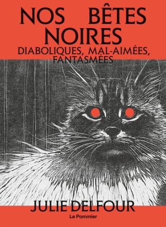 nos-betes-noires_0