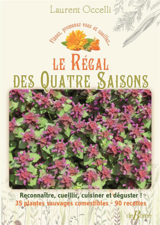 occelli-laurent-tessier-jacques-le-regal-des-quatre-saisons-reconnaitre-cueillir-cuisiner-et-deguster-35-plantes-sauvages-comes_0