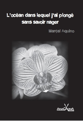 ocean-dans-lequel-j-ai-plonge-sans-savoir-nager-l_0