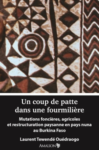 ouedraogo-laurent-tewende-3b-tallet-bernard-un-coup-de-patte-dans-une-fourmiliere_0