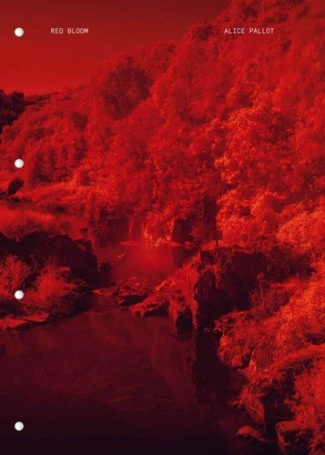 paillot-alice-red-bloom_0