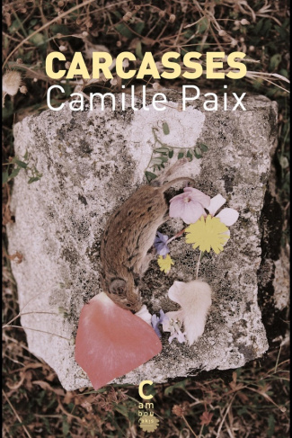 paix-camille-carcasses_0