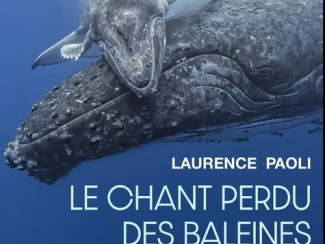 paoli-laurence-le-chant-perdu-des-baleines-quand-la-pollution-sonore-etouffe-les-voix-de-l-ocean_0