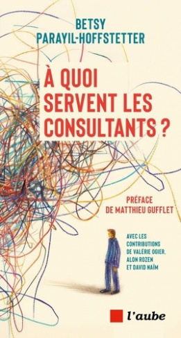 parayil-hoffstetter-betsy-a-quoi-servent-les-consultants_0