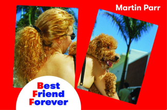 parr-banian-chesnais-best-friend-forever-memory-game_0