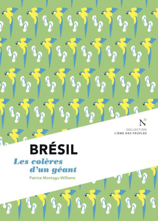 patrice-montagu-will-bresil-les-coleres-d-un-geant_0