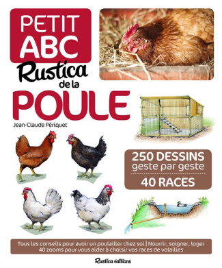 periquet-jean-claude-3b-seris-iwona-petit-abc-rustica-de-la-poule_0