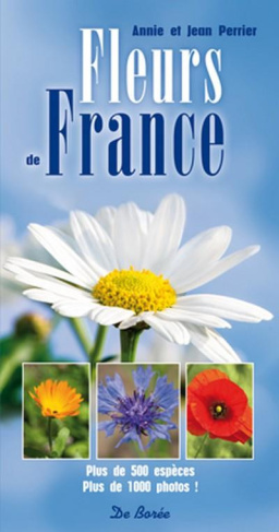 perrier-anne-perrier-jean-raynal-roques-aline-fleurs-de-france_0