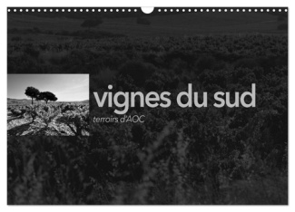 perrin-emmanuel-vignes-du-sud-terroirs-d-aoc-calendrier-paysages-des-terroirs-viticole_0