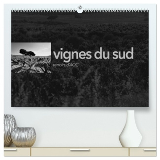 perrin-emmanuel-vignes-du-sud-terroirs-d-aoc-calendrier-paysages-des-terroirs-viticole_0