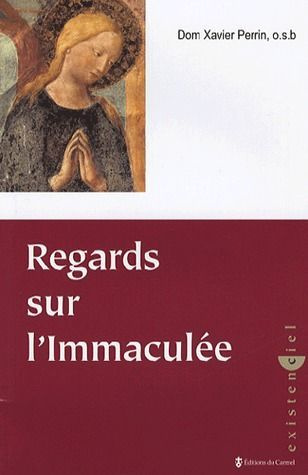 perrin-xavier-regards-sur-l-immaculee_0