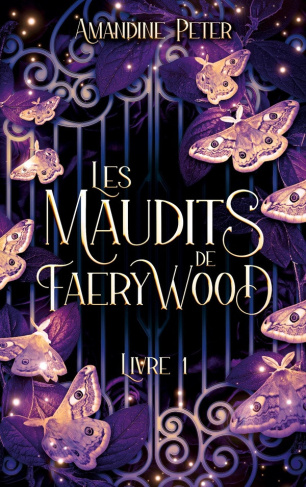 peter-amandine-maudits-de-faerywood-livre-1_0