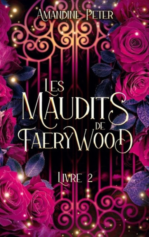 peter-amandine-maudits-de-faerywood-livre-2_0