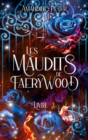 peter-amandine-maudits-de-faerywood-livre-3_0