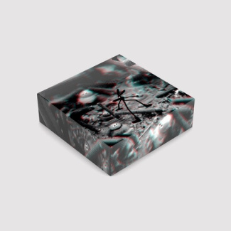 picard-matthias-puzzle-la-foret-mysterieuse-jeanjambe_0
