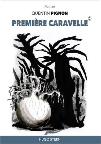 pignon-quentin-premiere-caravelle-c_0