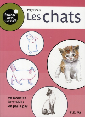 pinder-polly-les-chats_0