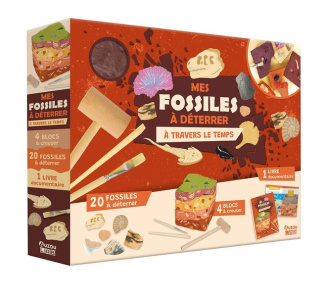 potard-celine-bittencourt-lays-auzou-lab-mes-fossiles-a-deterrer_0