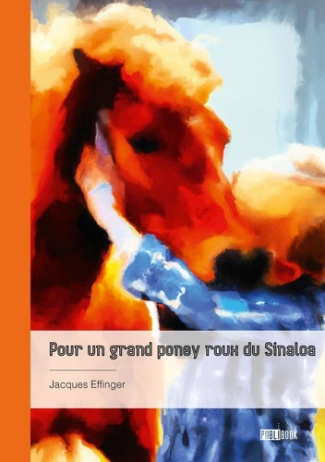 pour-un-grand-poney-roux-du-sinaloa_0