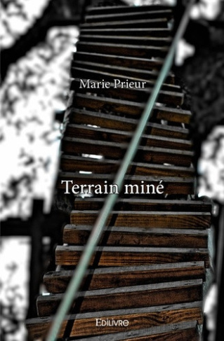 prieur-marie-terrain-mine_0