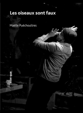 puechoultres-maelle-les-oiseaux-sont-faux_0
