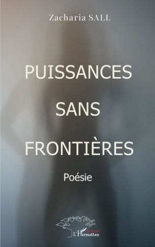 puissances-sans-frontieres_0