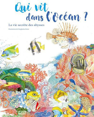 qui-vit-dans-l-ocean-la-vie-secrete-des-abysses_0