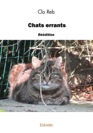 reb-clo-chats-errants_0