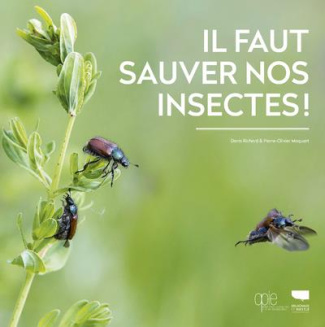 richard-denis-3b-maquart-pierre-olivier-il-faut-sauver-nos-insectes_0