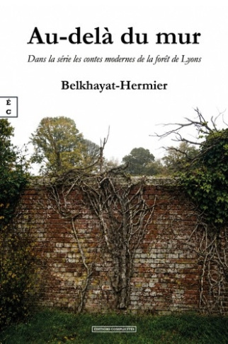 rita-belkhayat-au-dela-du-mur-dans-la-serie-les-contes-modernes-de-la-foret-de-lyons_0