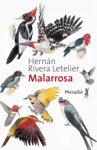 rivera-letelier-hernan-3b-hausberg-bertille-malarrosa_0