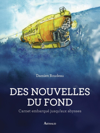 roudeau-damien-des-nouvelles-du-fond_0