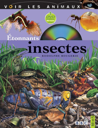 rougerie-rodolphe-etonnants-insectes-avec-1-dvd_0