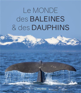 rudiger-wandrey-3b-cadene-cecile-baleines-et-dauphins-especes-mode-de-vie-comportement_0