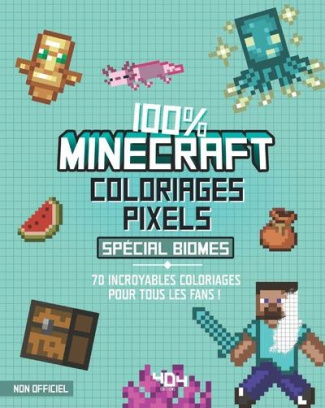 sapuppo-daniele-coloriages-pixels-100-minecraft-special-biomes_0