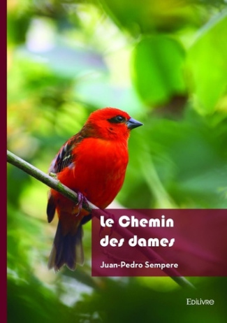 sempere-juan-pedro-le-chemin-des-dames_0