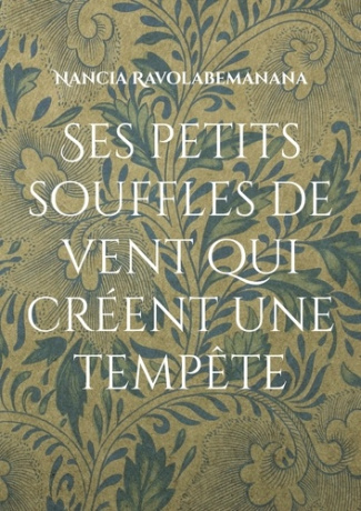 ses-petits-souffles-de-vent-qui-creent-une-tempete_0