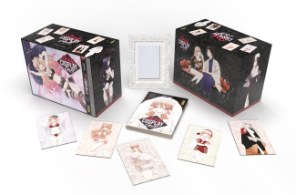 shinichi-fukuda-coffret-sexy-cosplay-doll-t15-edition-collector_0