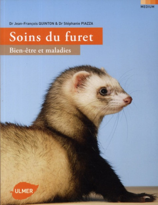 soins-du-furet-bien-etre-et-maladies_0