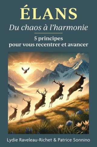 sonnino-patrice-raveleau-richet-lydie-elans-du-chaos-a-l-harmonie-5-principes-pour-vous-recentrer-et-avancer_0